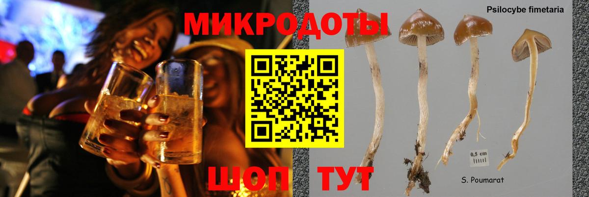 Псилоцибиновые грибы GOLDEN TEACHER Петропавловск-Камчатский